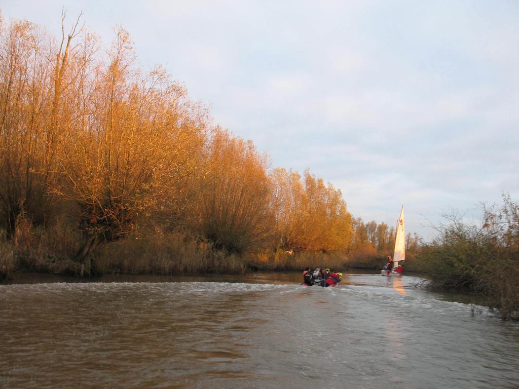 דרימלן Bed And Breakfast De Biesbosch - In 'T Riet מראה חיצוני תמונה